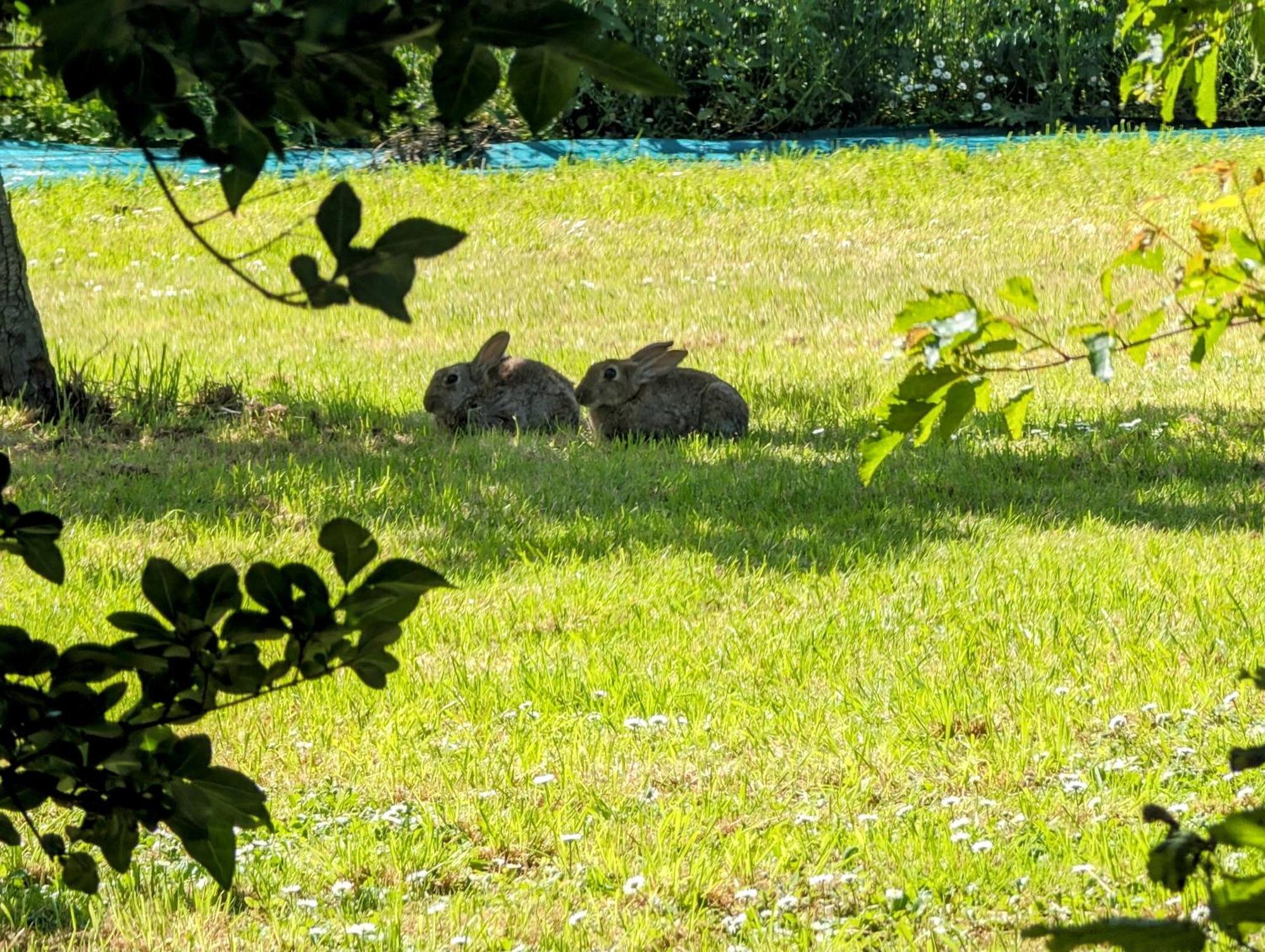Le Relais Du Beffroi & Spa Saint-Riquier Ngoại thất bức ảnh